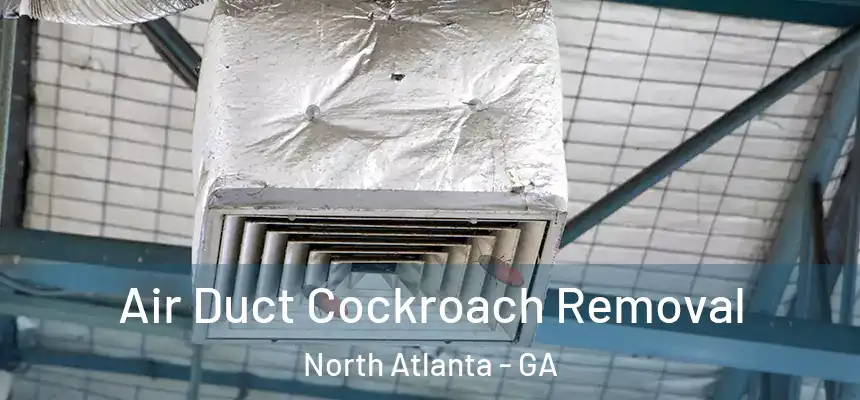  Air Duct Cockroach Removal North Atlanta - GA