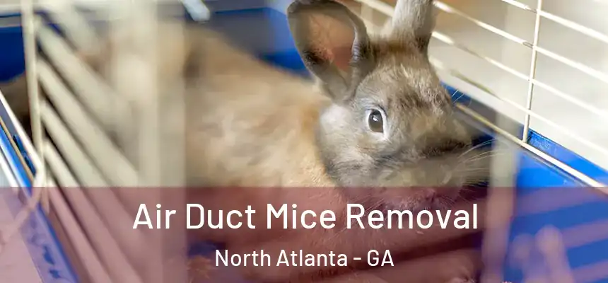 Air Duct Mice Removal North Atlanta - GA