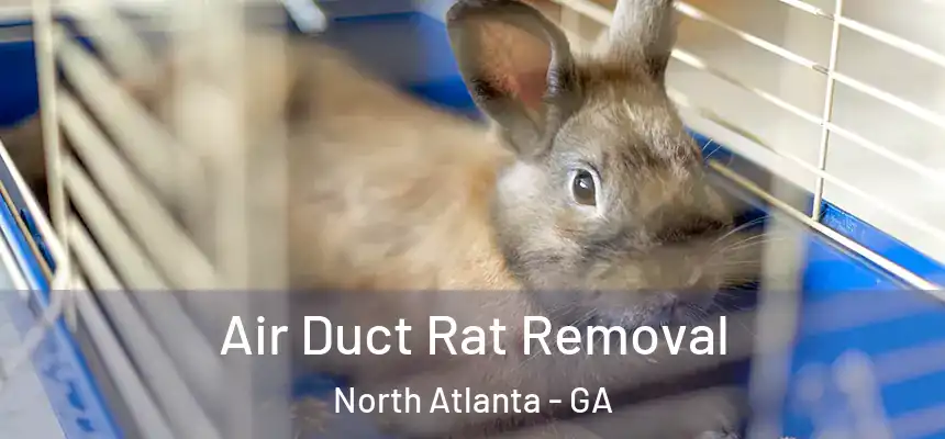 Air Duct Rat Removal North Atlanta - GA