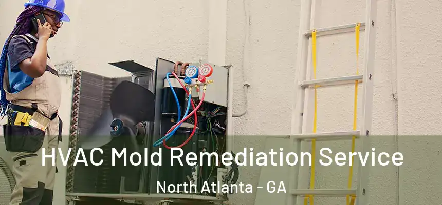 HVAC Mold Remediation Service North Atlanta - GA