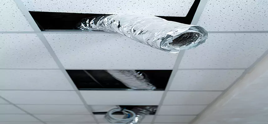 Affordable HVAC Sanitizing After Pest Removal in North Atlanta