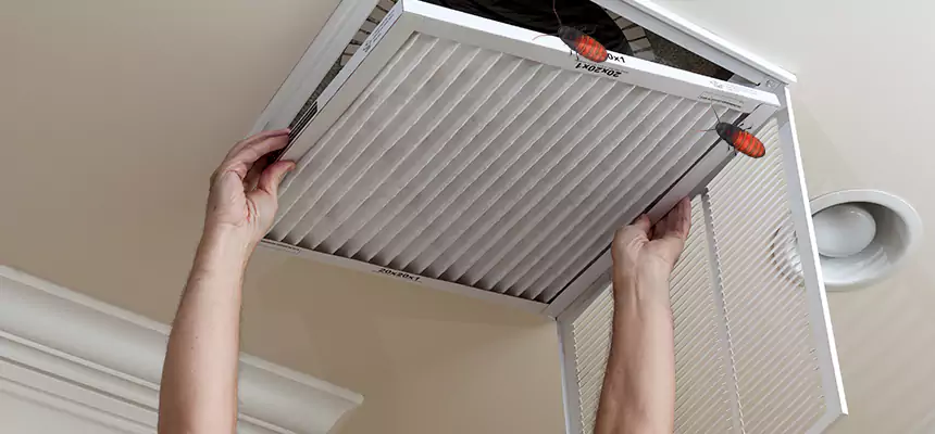 Our Insect Removal from Air Ducts Services in North Atlanta, GA