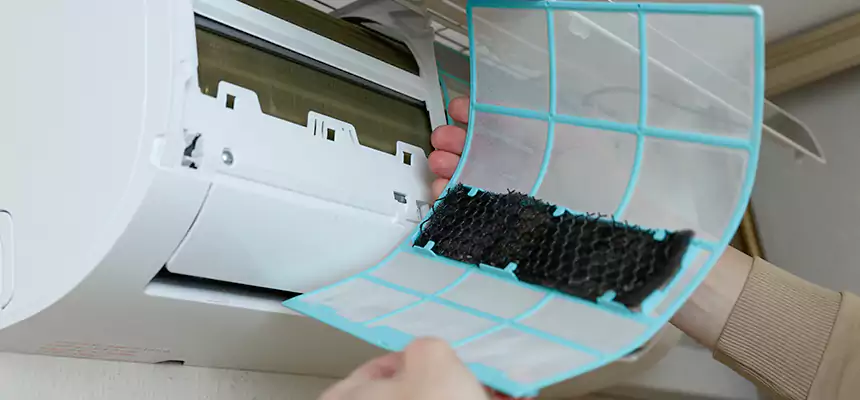 Gentle Ductwork Odor-Control Pet Dander Duct Cleaning in North Atlanta, GA