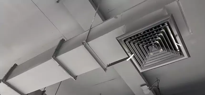 Our Rodent Droppings In Vents Services in North Atlanta, GA