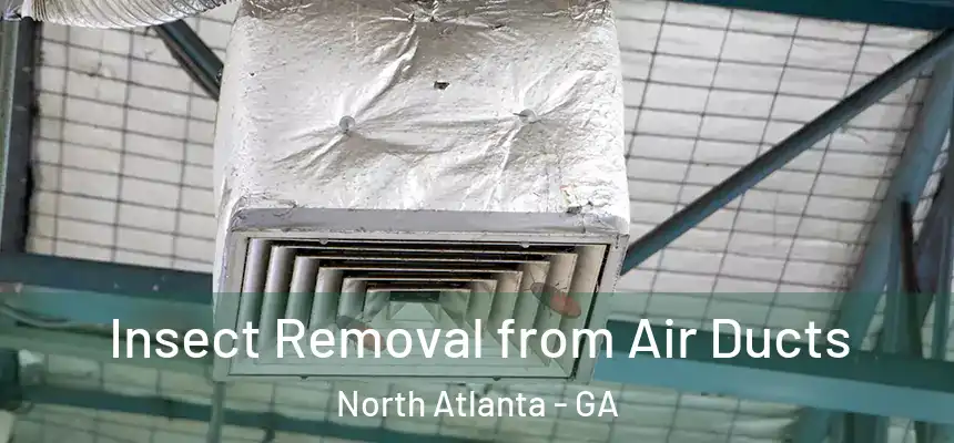 Insect Removal from Air Ducts North Atlanta - GA
