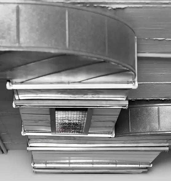 Professional Air Duct Pet Hair Removal in North Atlanta, GA