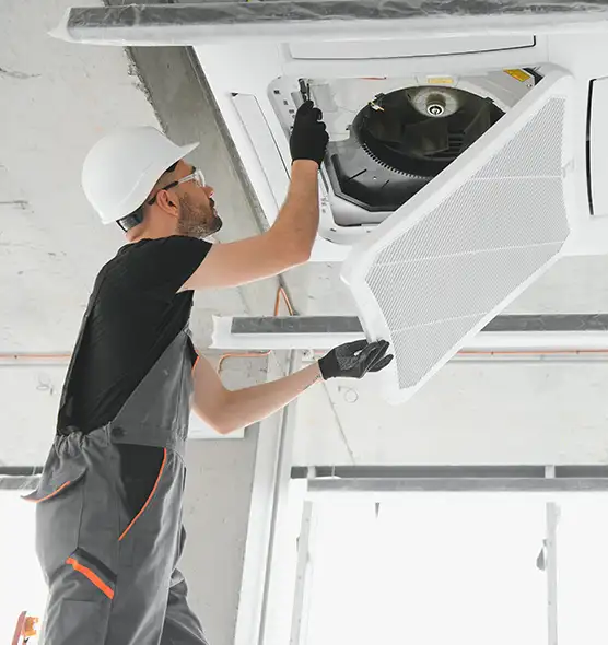 About Air Duct Rodent Removal in North Atlanta, GA