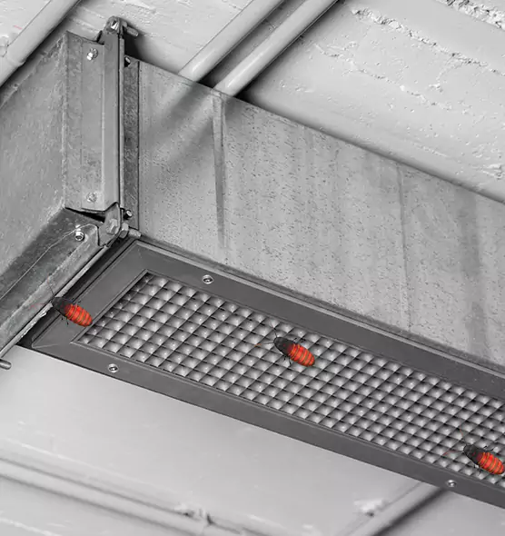 Affordable Insect Removal from Air Ducts in North Atlanta, GA