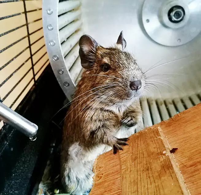 Why Homeowners & Businesses Trust Us North Atlanta, GA