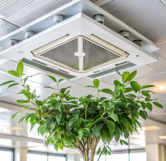 Why Homeowners & Businesses Trust Us in North Atlanta, GA?