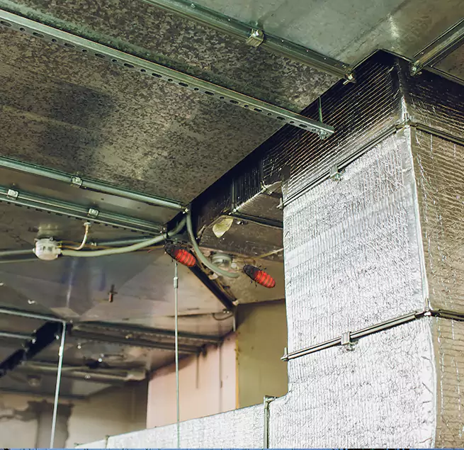 Why Homeowners & Businesses Trust Us North Atlanta, GA?